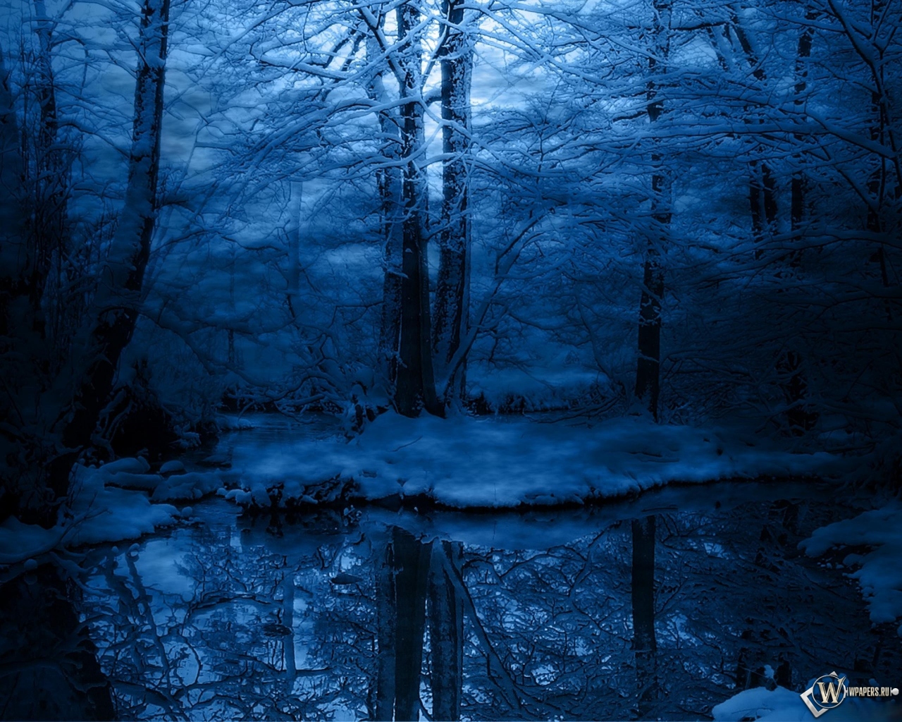 Зимняя ночь в лесу 1280x1024