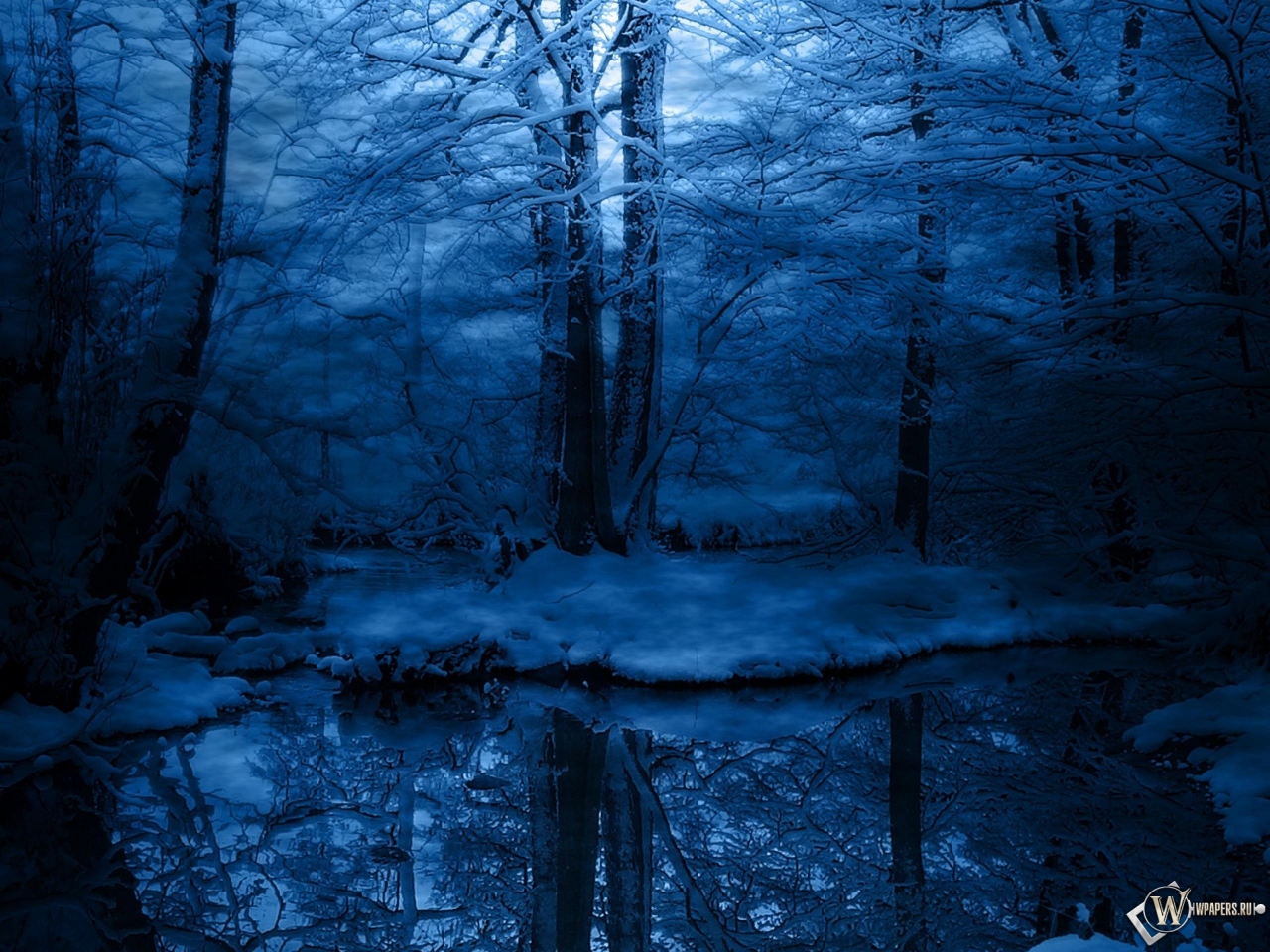 Зимняя ночь в лесу 1280x960