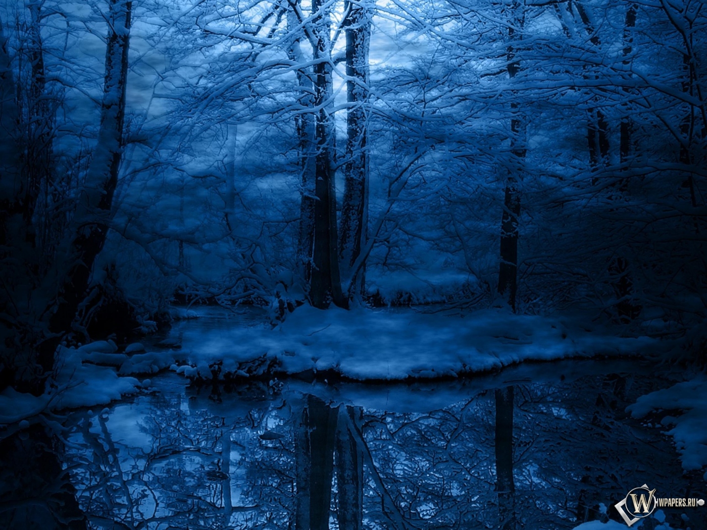 Зимняя ночь в лесу 1400x1050