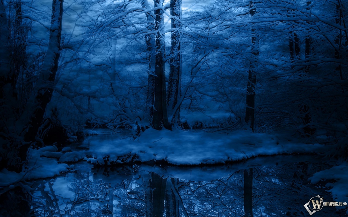 Зимняя ночь в лесу 1440x900