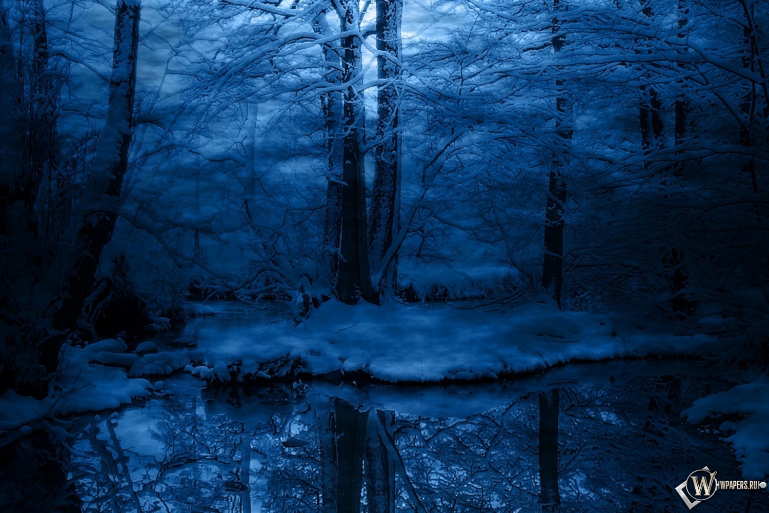 Зимняя ночь в лесу 1500x1000