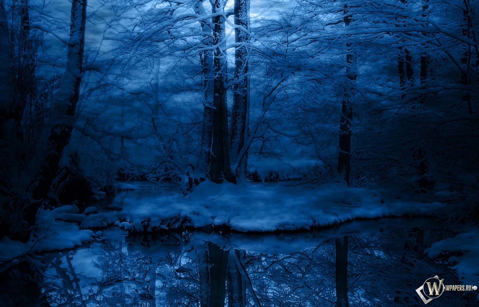 Зимняя ночь в лесу 1600x1024