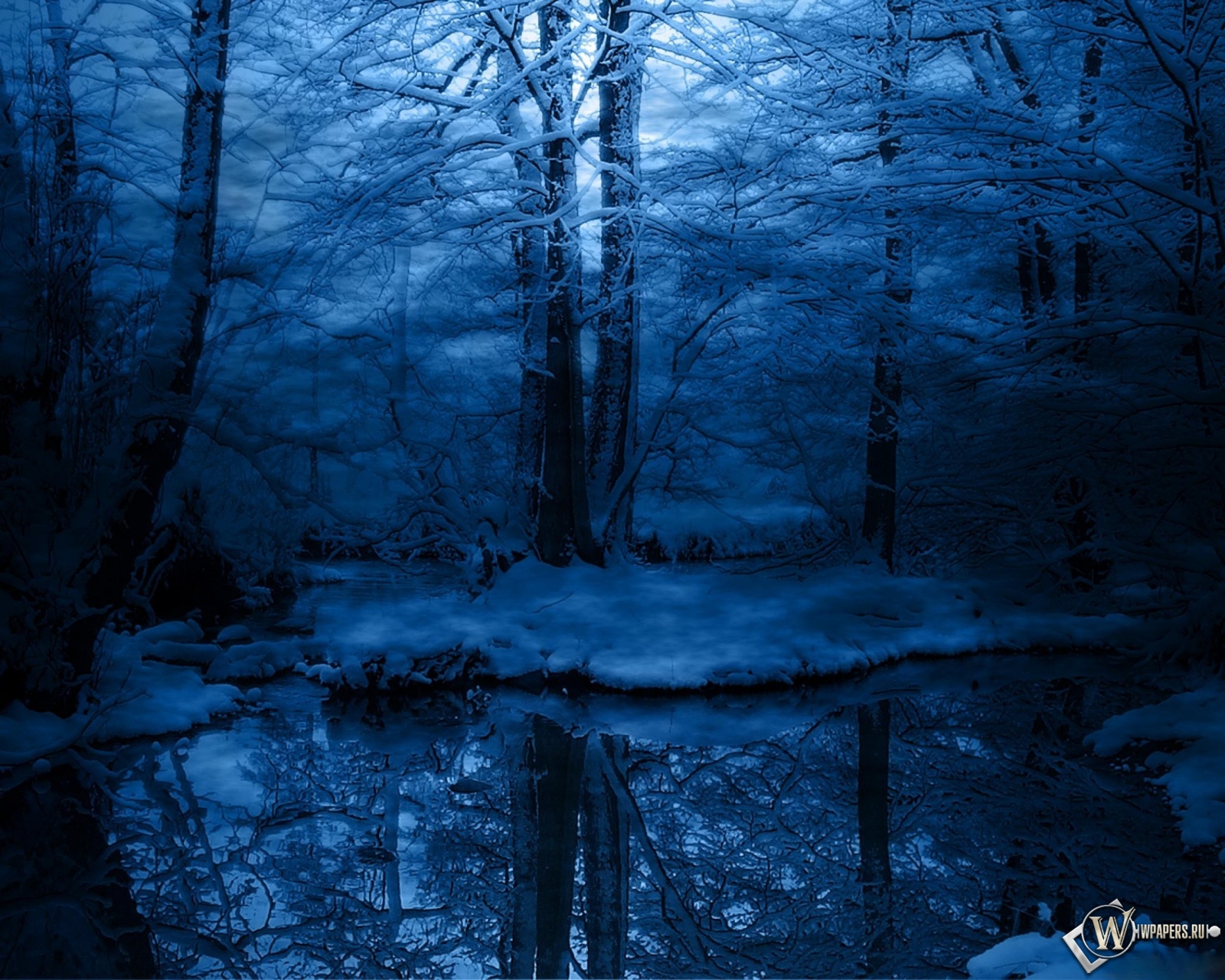 Зимняя ночь в лесу 1600x1280