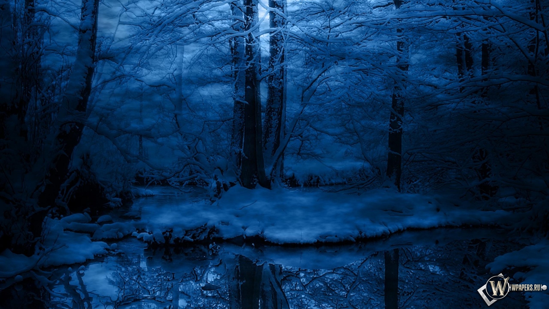 Зимняя ночь в лесу 1920x1080