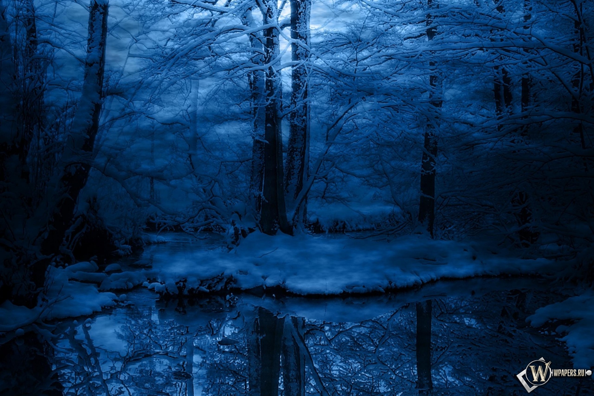 Зимняя ночь в лесу 1920x1280