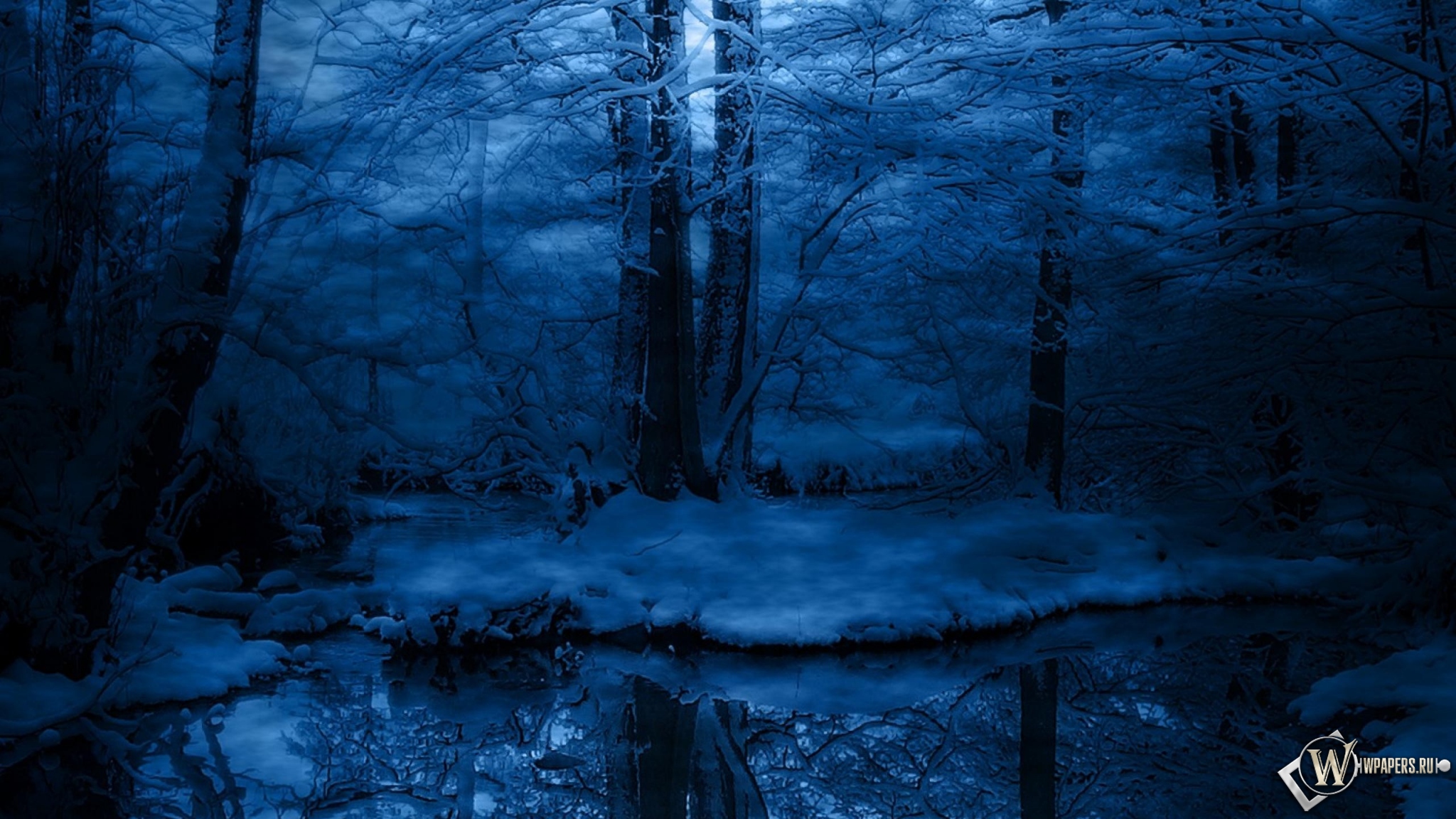Зимняя ночь в лесу 2048x1152