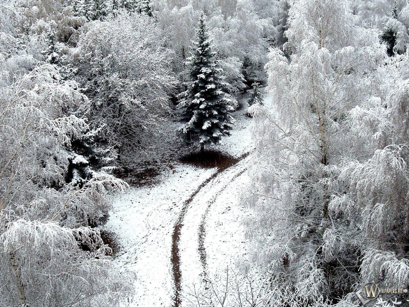 Зимний лес 1400x1050
