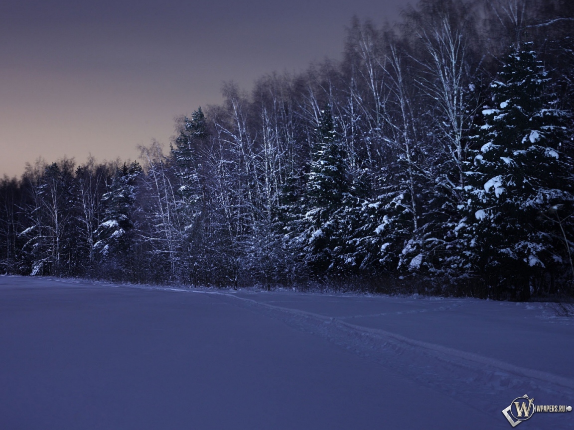 Ночь в зимнем лесу 1152x864
