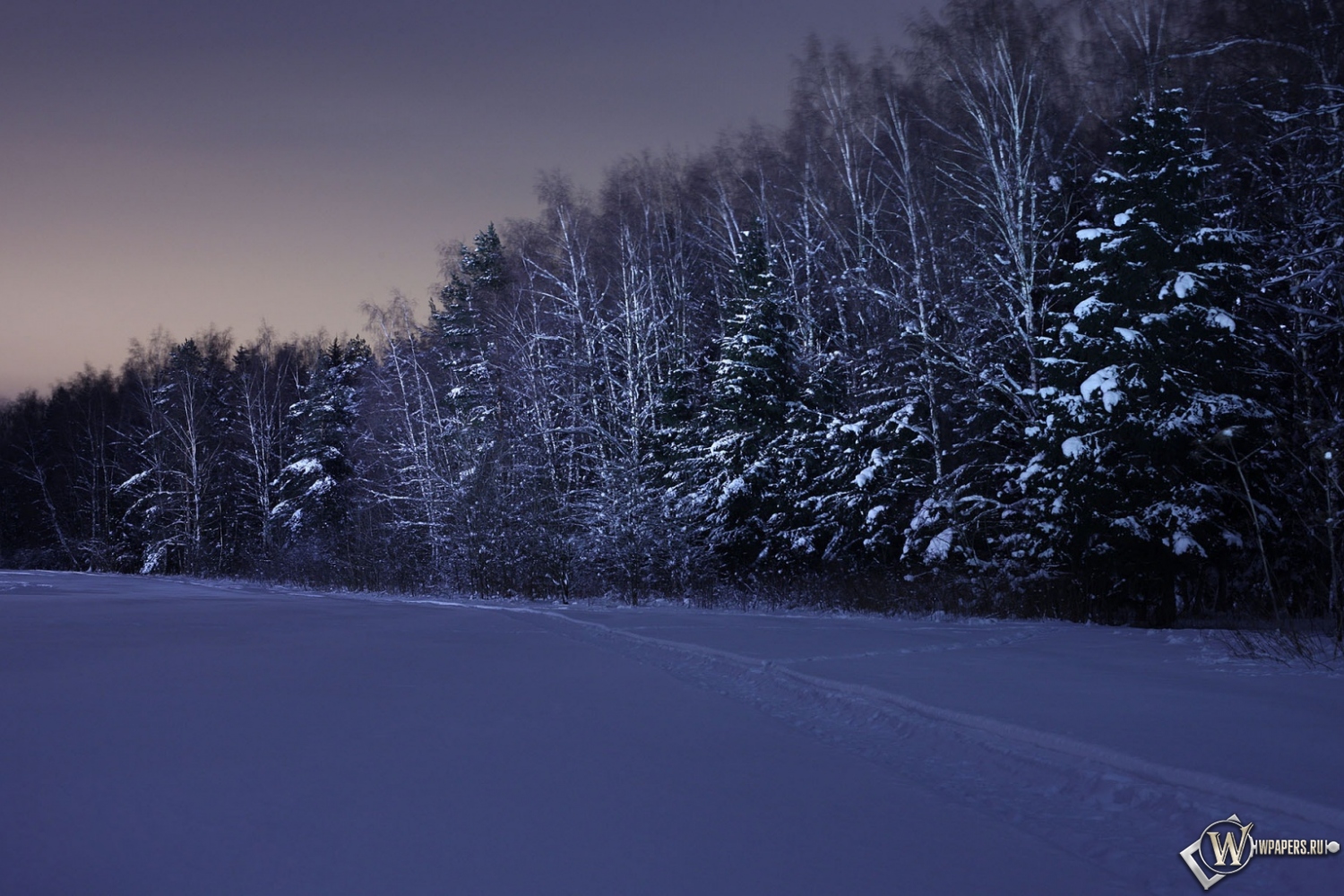 Ночь в зимнем лесу 1500x1000