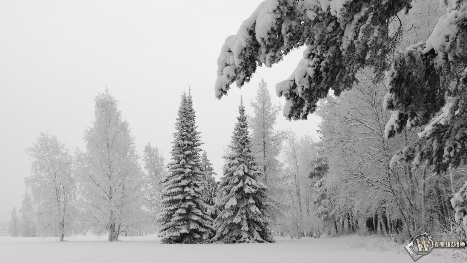 Зимний пейзаж 1600x900
