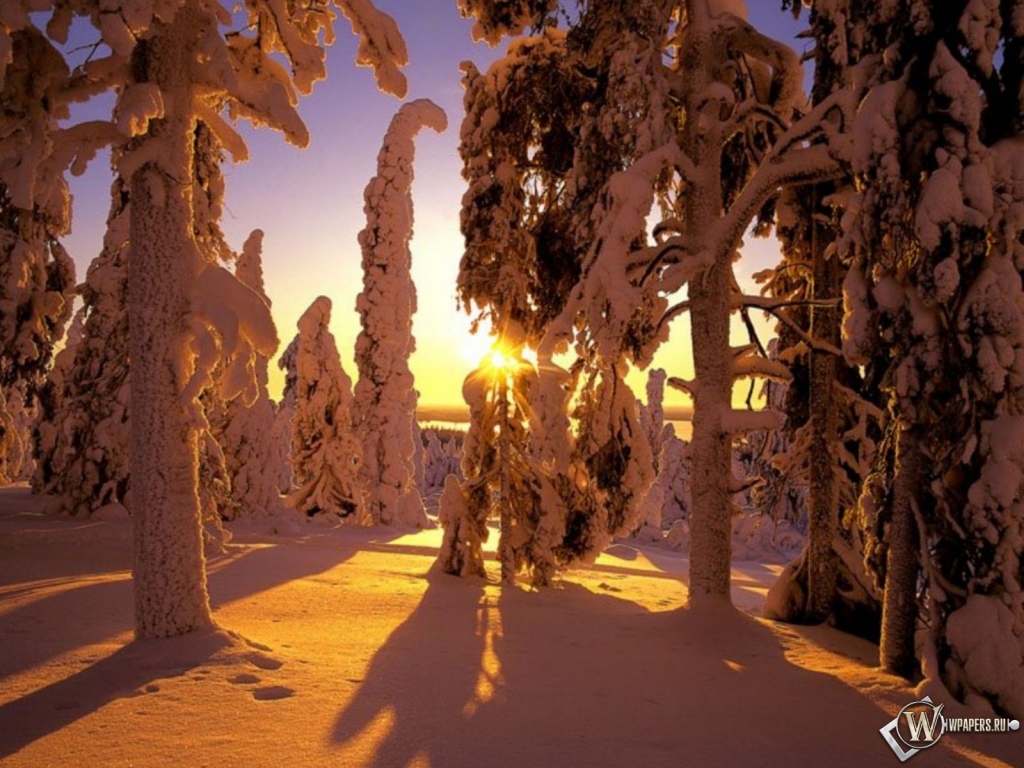 Зима в Финляндии 1024x768
