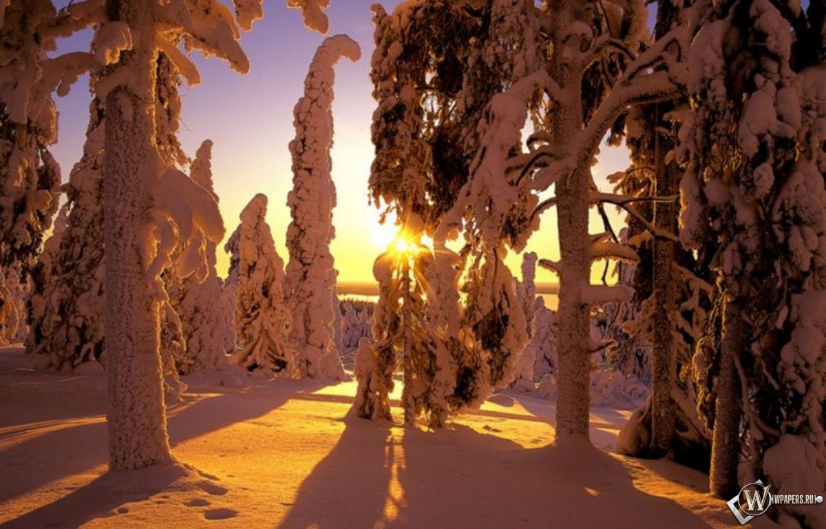 Зима в Финляндии 1200x768