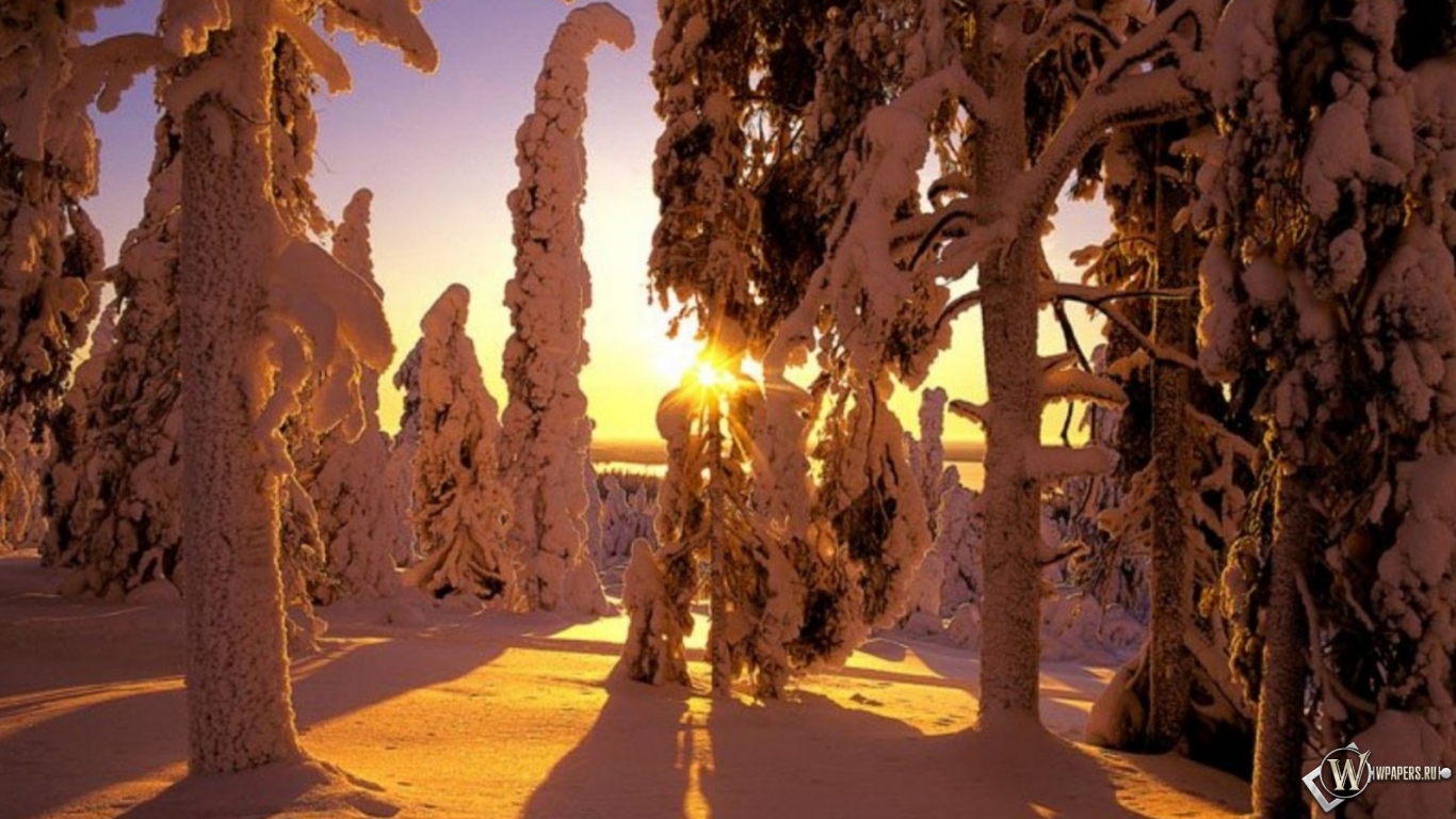 Зима в Финляндии 1366x768