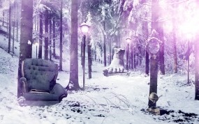 Обои Кресло в лесу: Зима, Лес, Деревья, Кресло, Зима