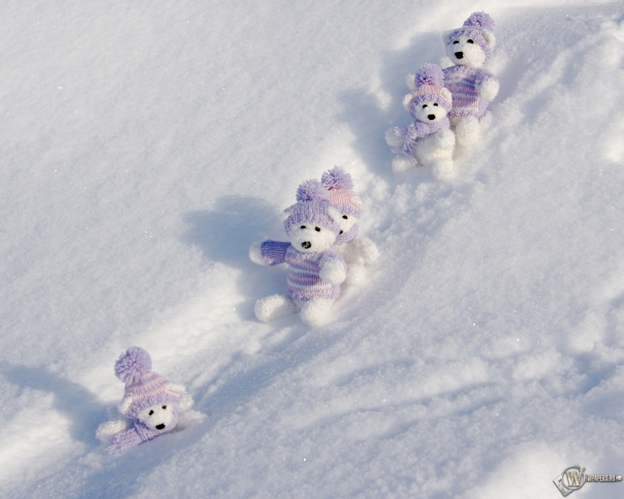 Мишки на снегу 1280x1024