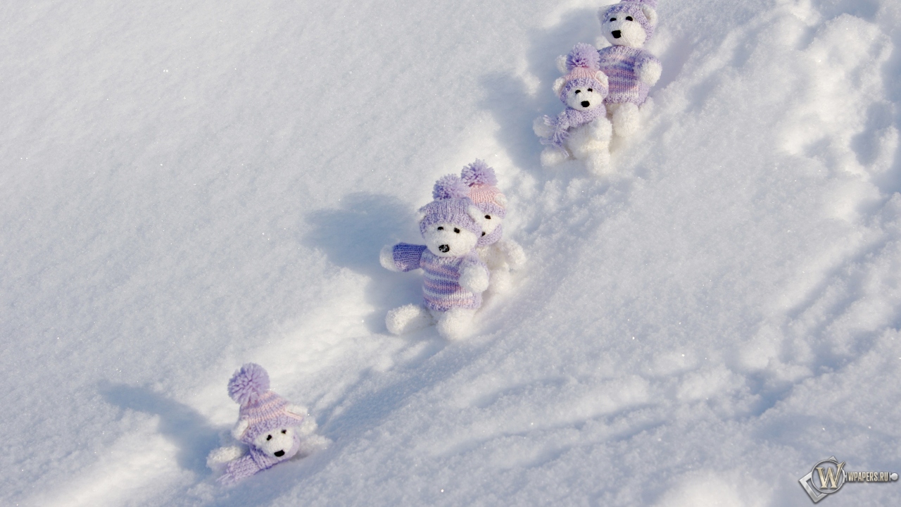 Мишки на снегу 1280x720