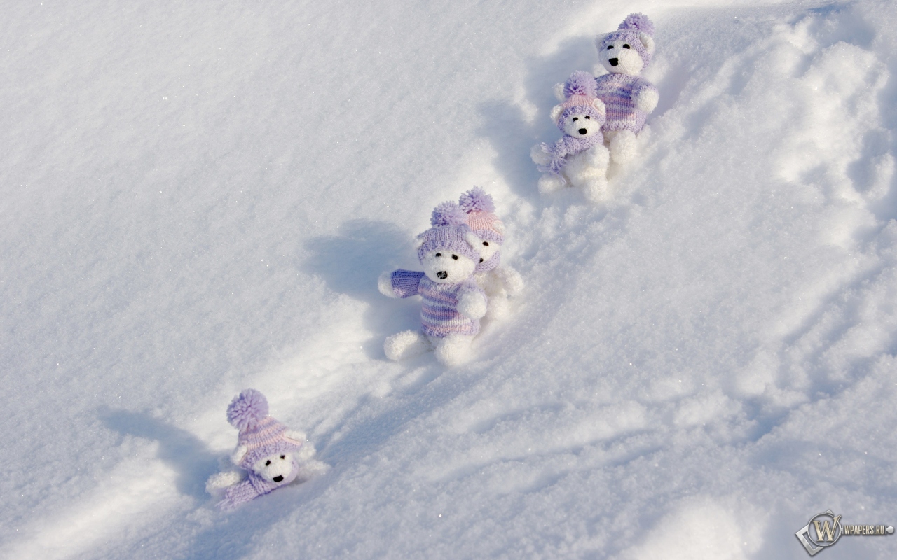 Мишки на снегу 1280x800