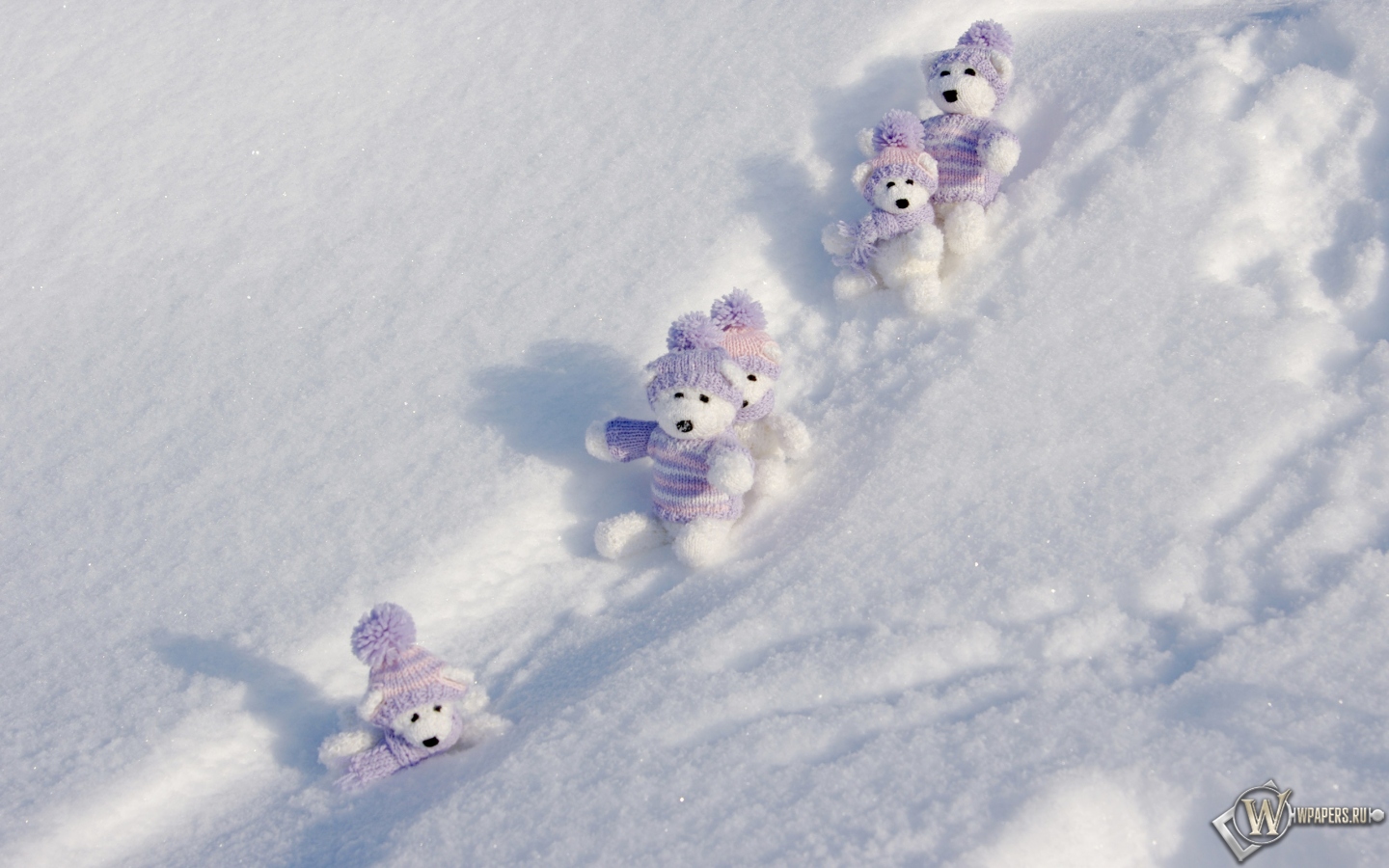 Мишки на снегу 1440x900