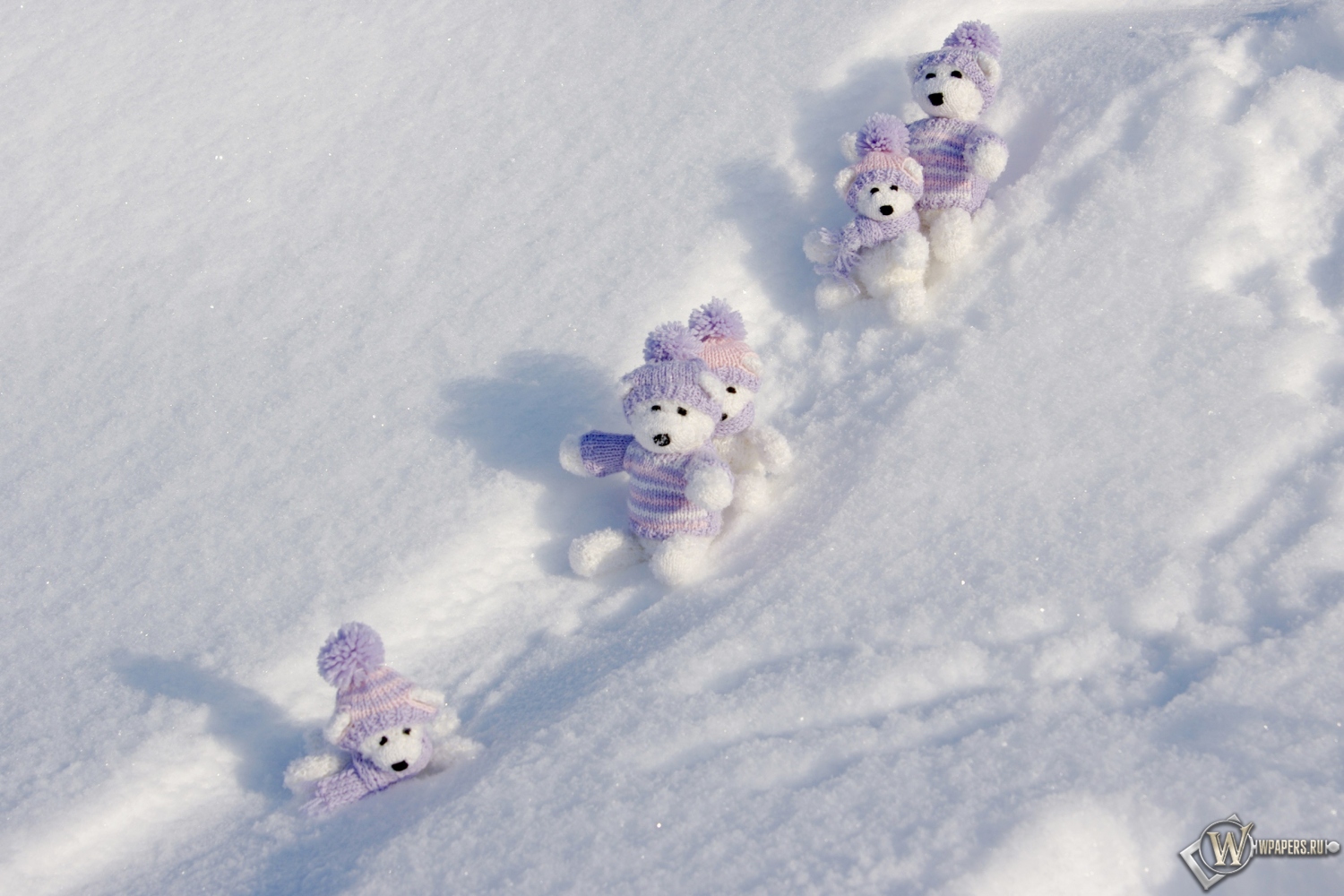 Мишки на снегу 1500x1000