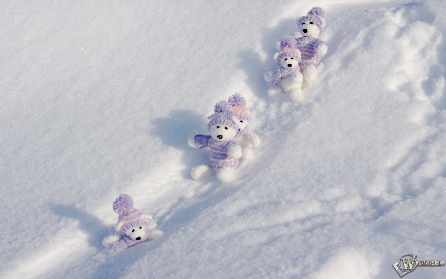 Мишки на снегу 1536x960