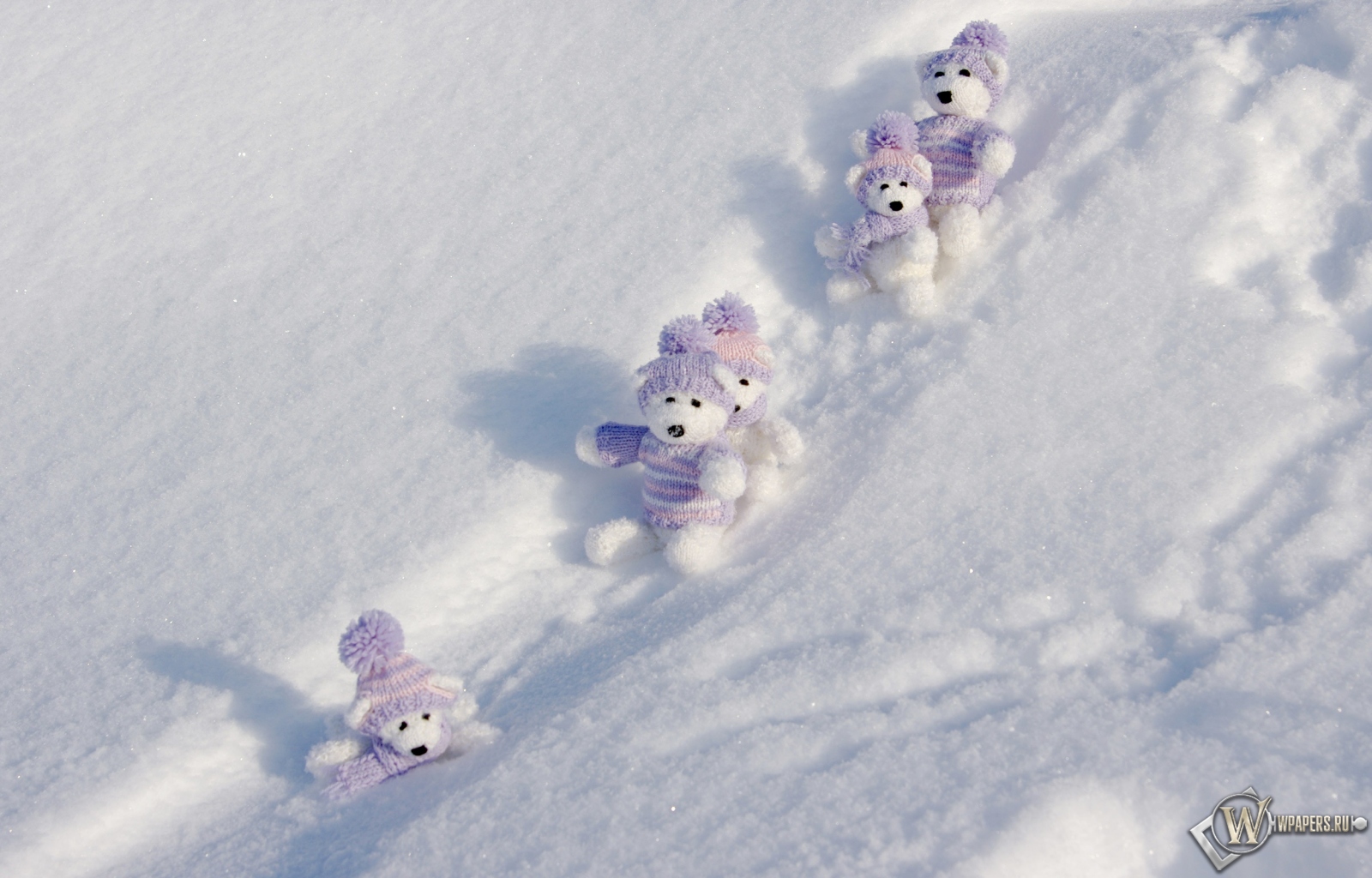 Мишки на снегу 1600x1024