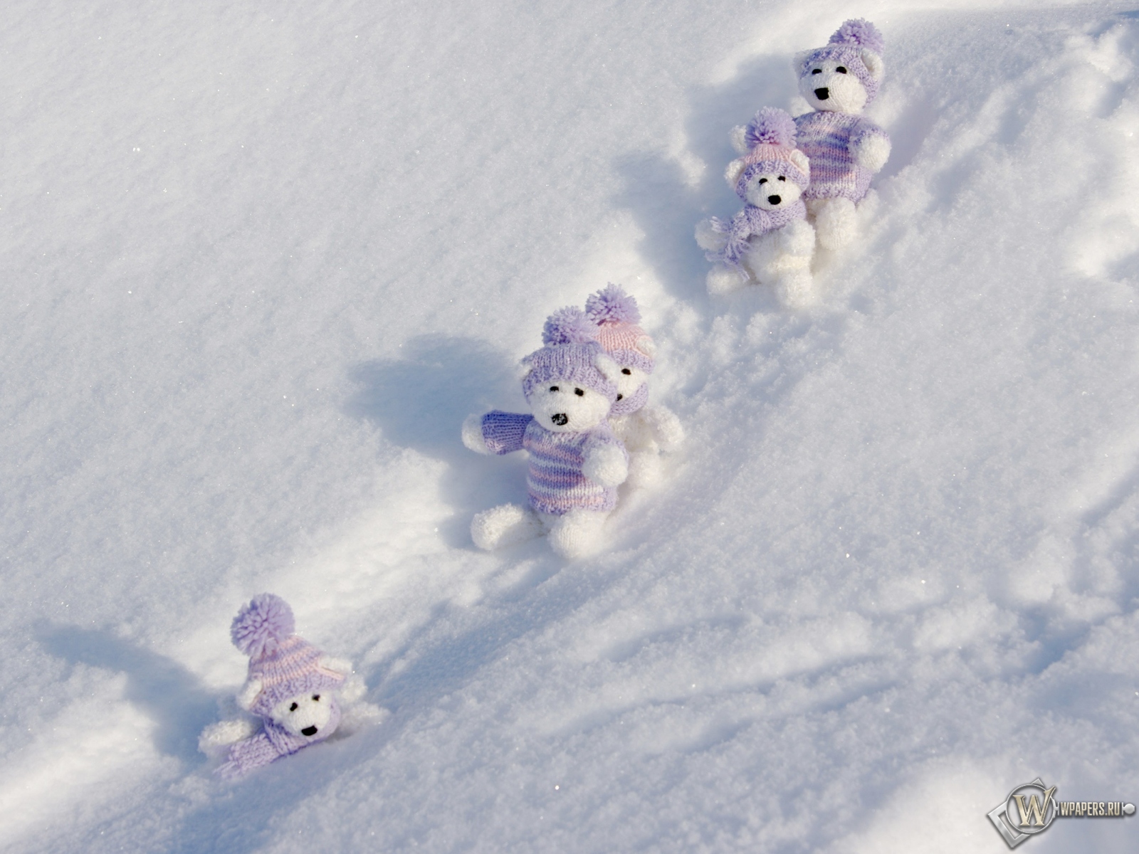 Мишки на снегу 1600x1200