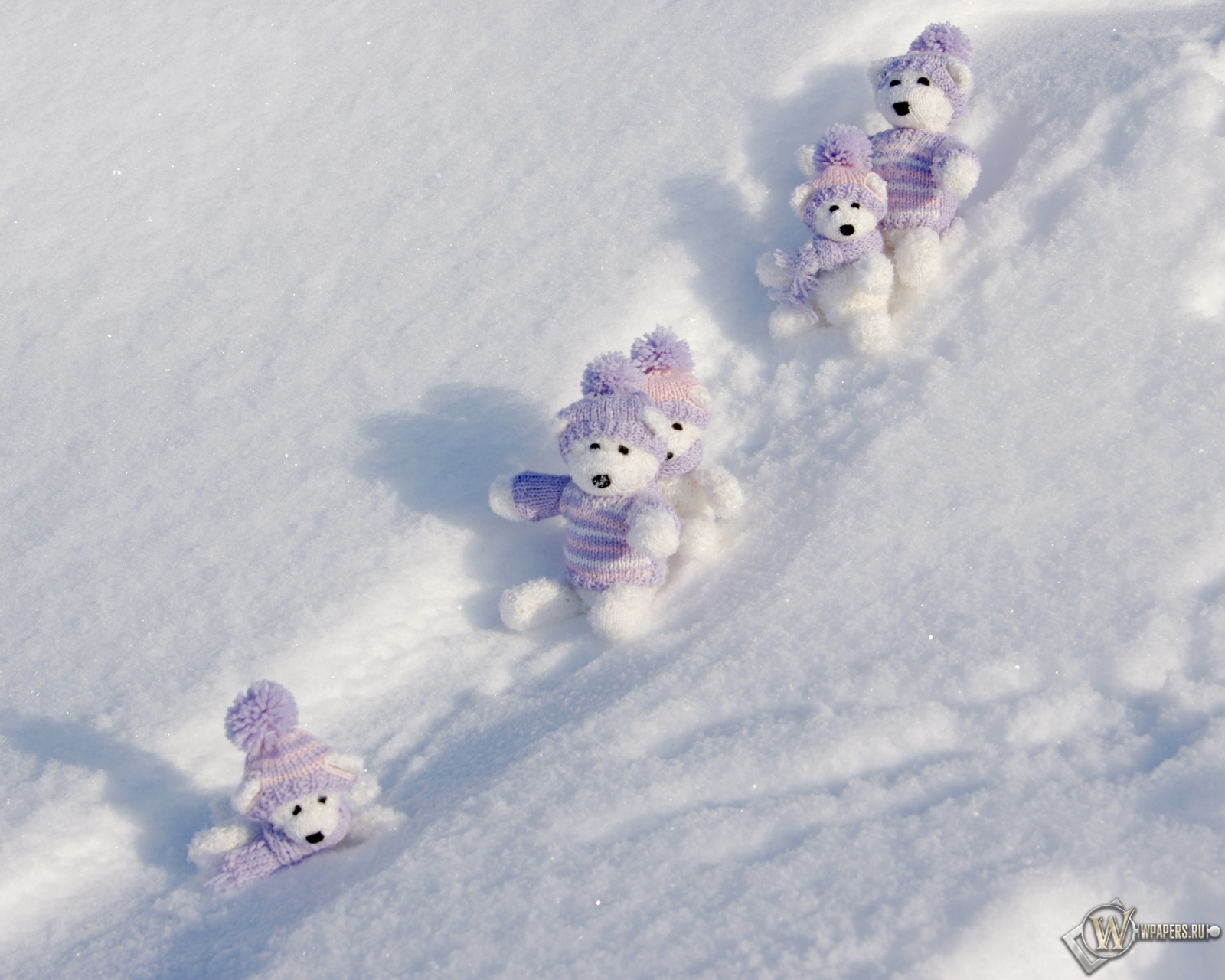 Мишки на снегу 1600x1280