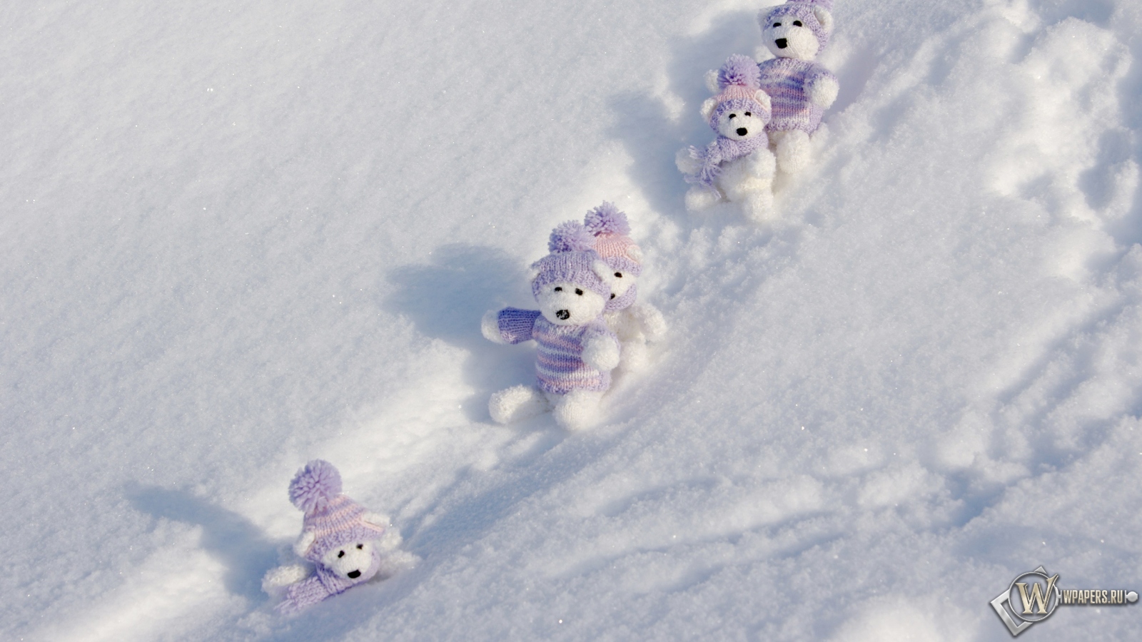 Мишки на снегу 1600x900