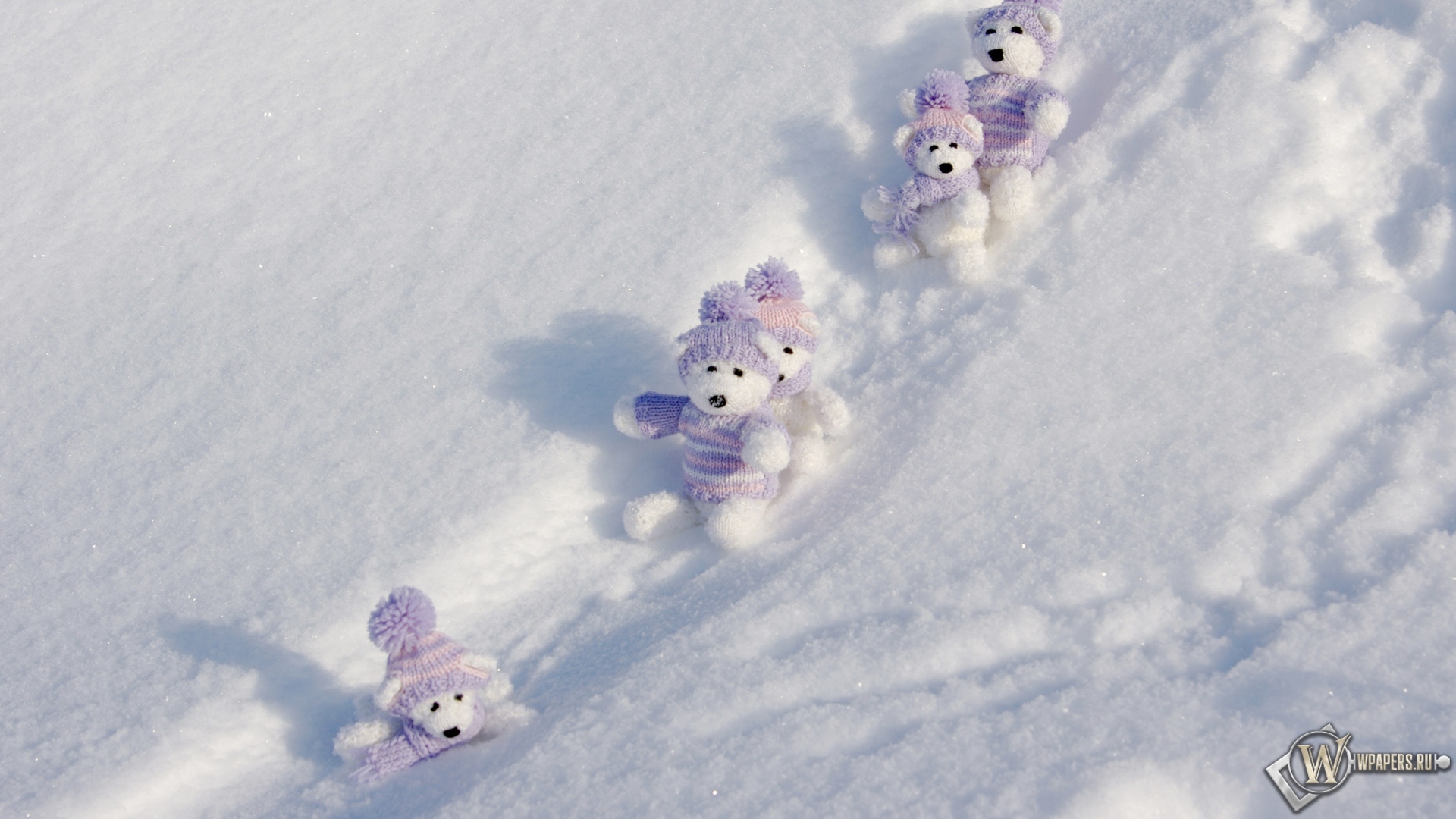 Мишки на снегу 1920x1080