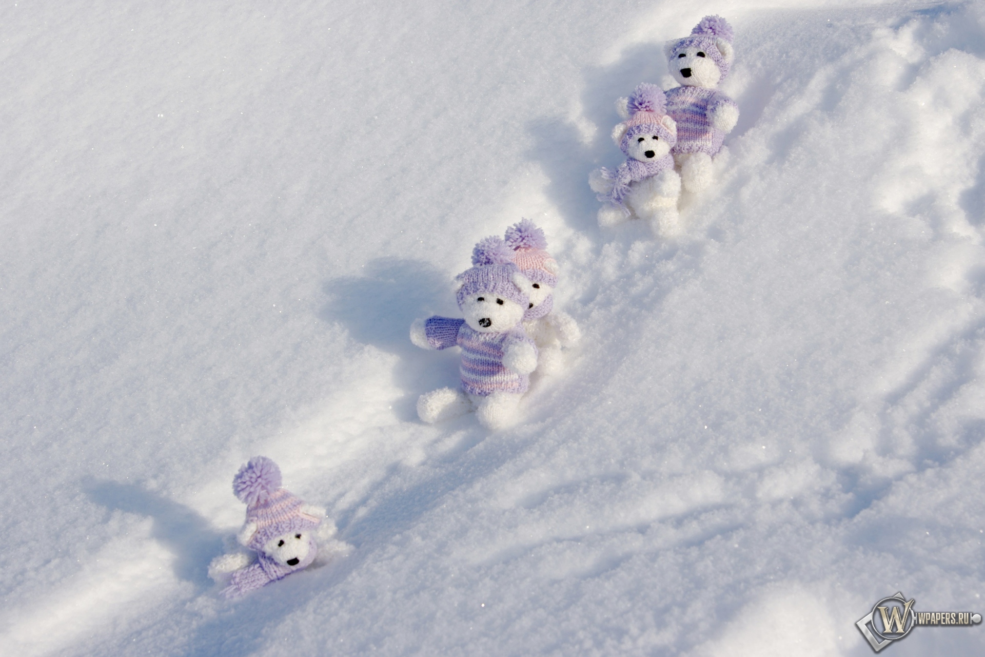 Мишки на снегу 1920x1280