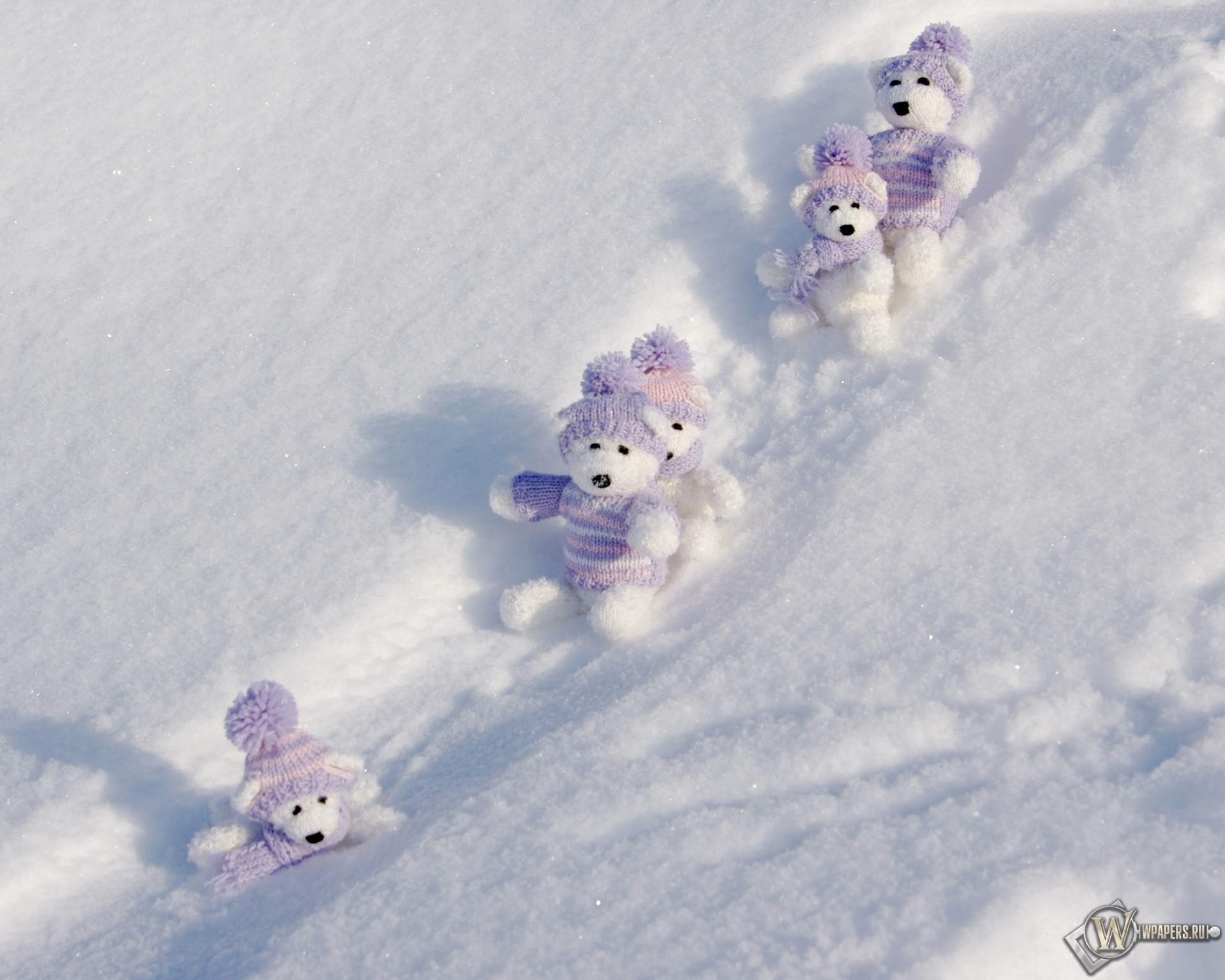 Мишки на снегу 1920x1536