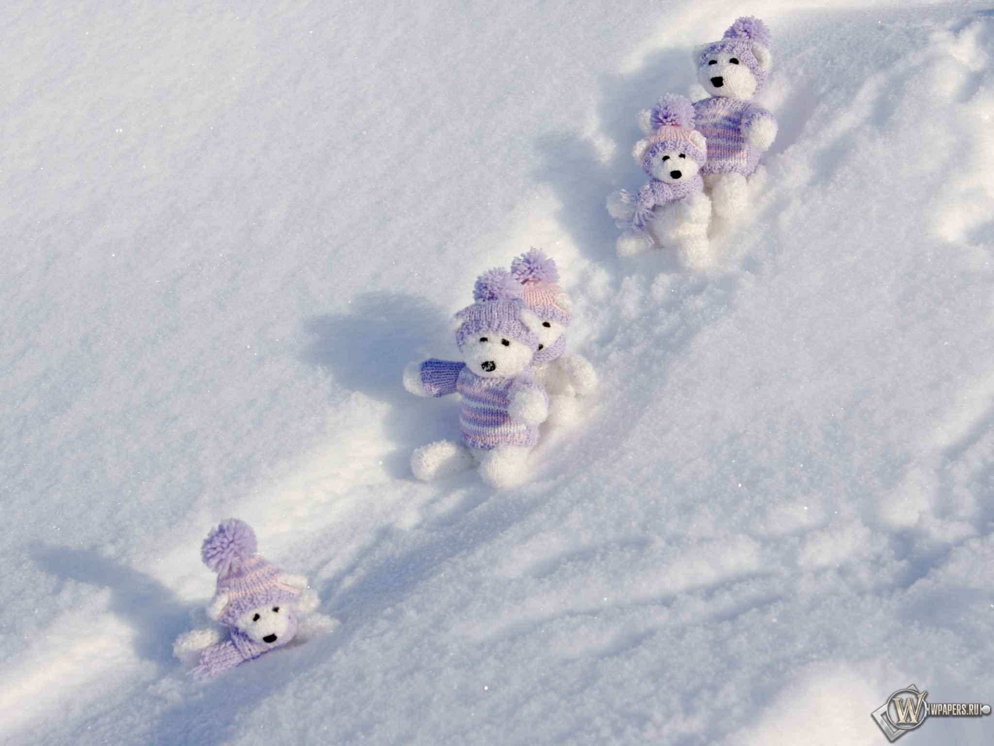 Мишки на снегу 2048x1536