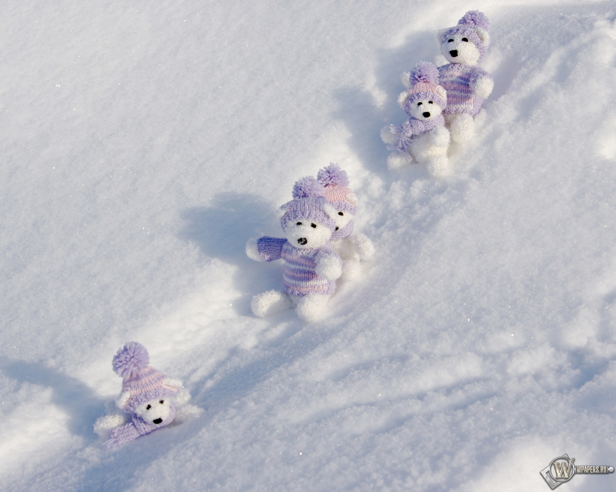 Мишки на снегу 2048x1638