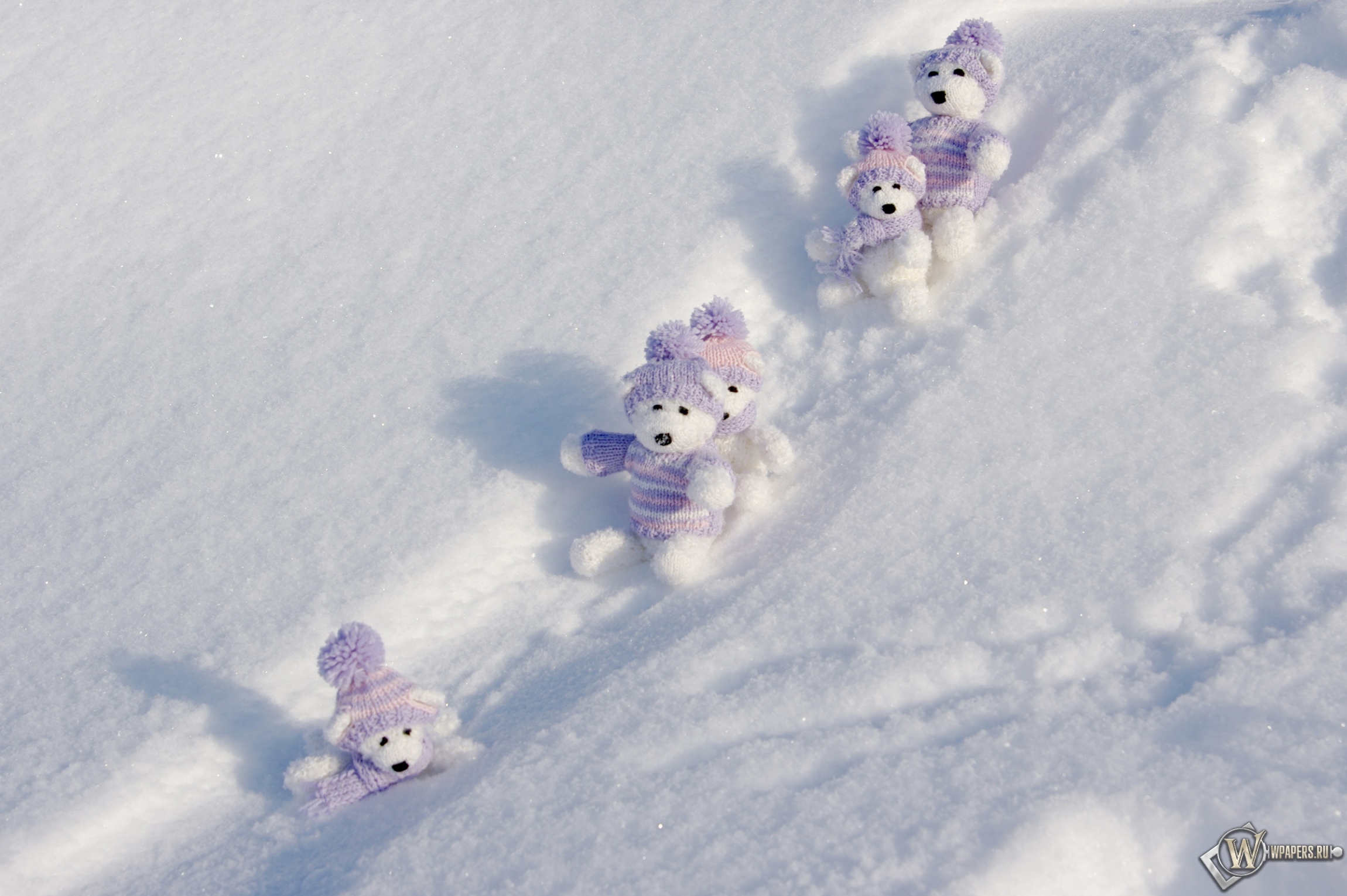 Мишки на снегу 2300x1530