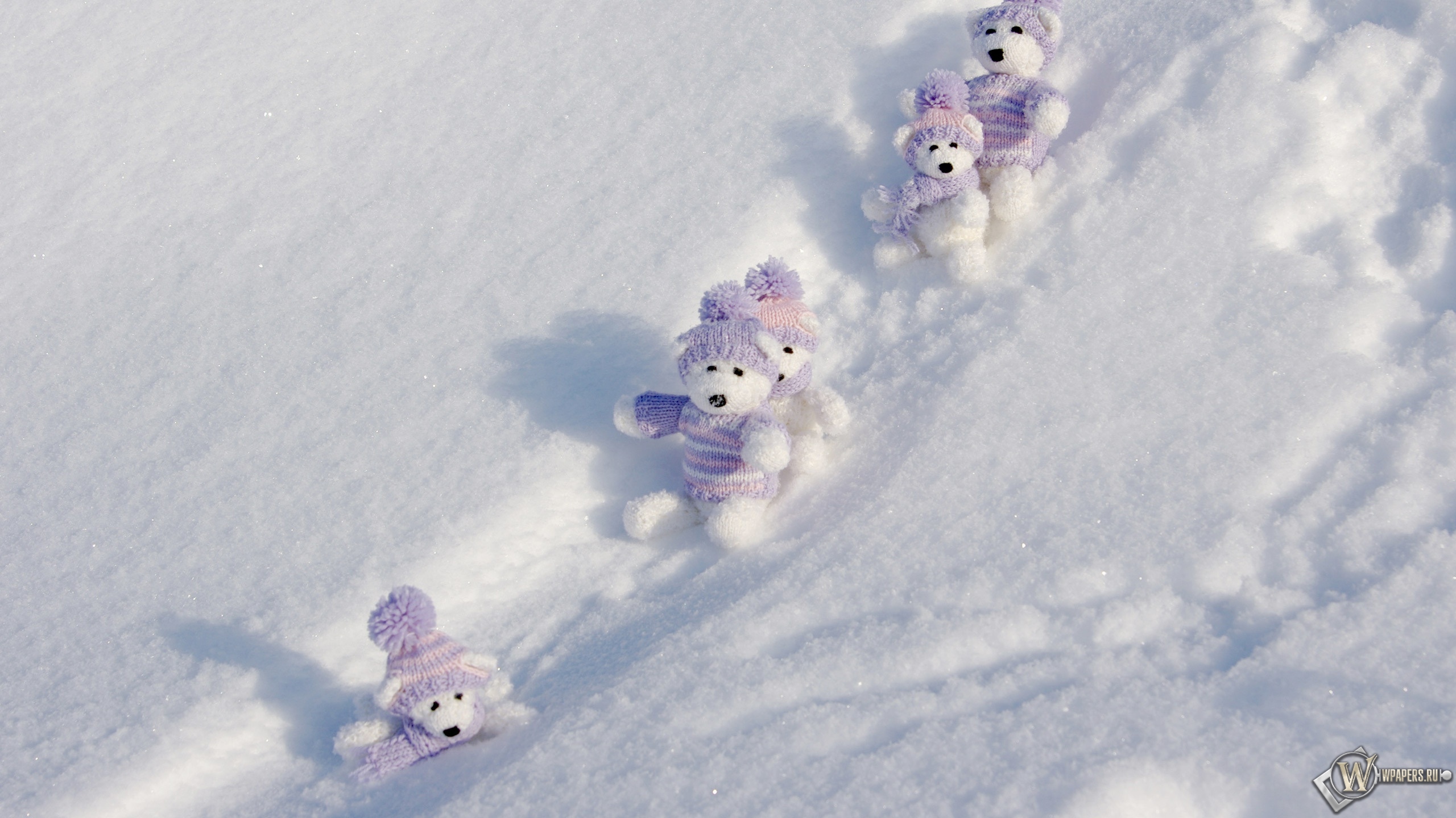Мишки на снегу 2560x1440