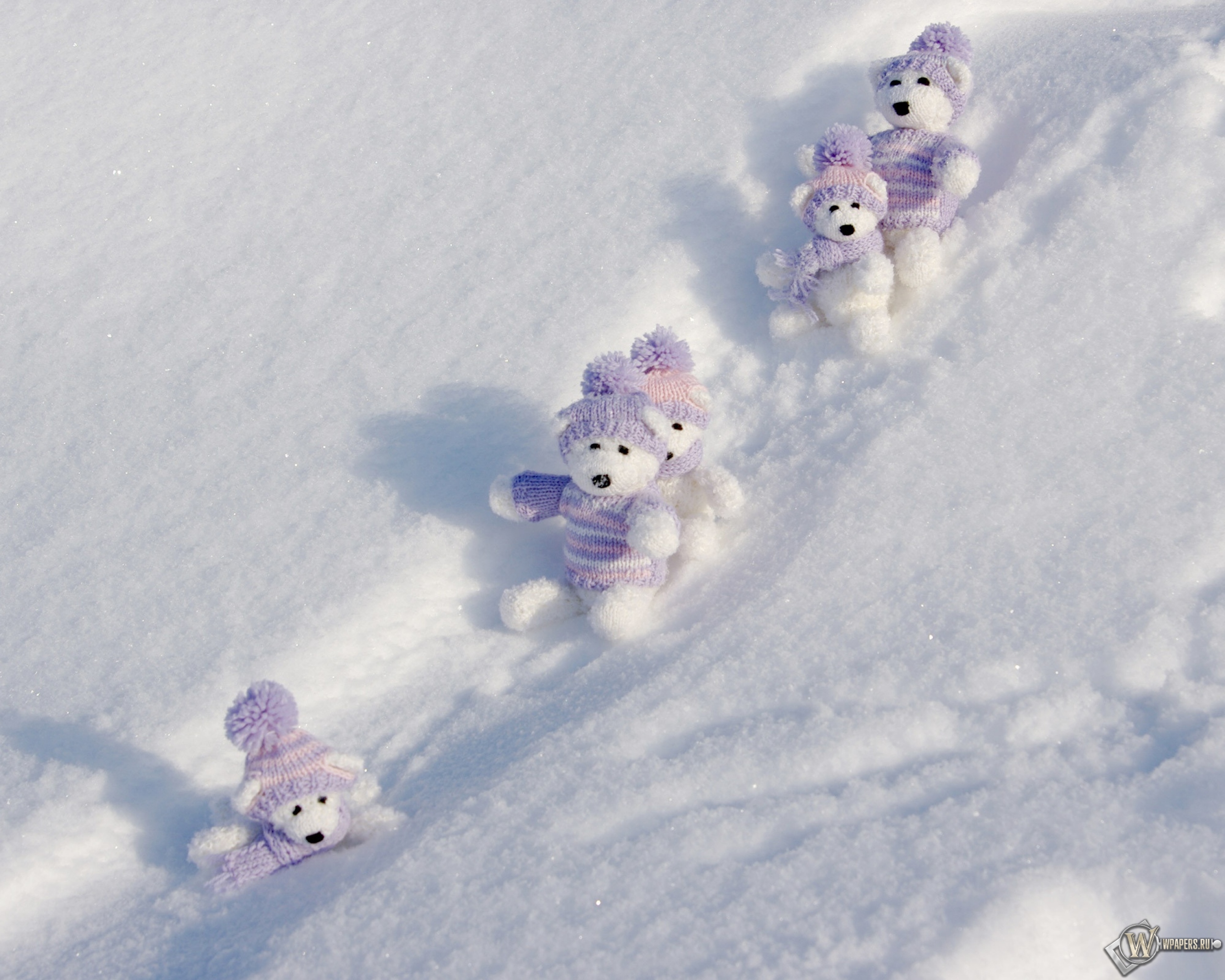 Мишки на снегу 2560x2048