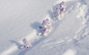 Обои Мишки на снегу: Зима, Снег, Сугробы, мишки, Зима