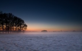 Обои Зима в Дании: Деревья, Туман, Небо, Зима
