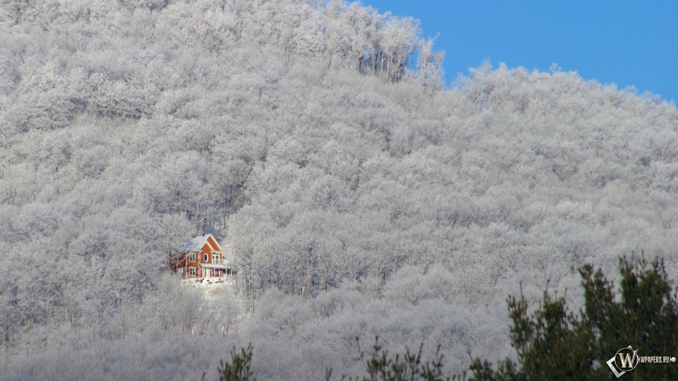 Зимний домик в лесу 1366x768