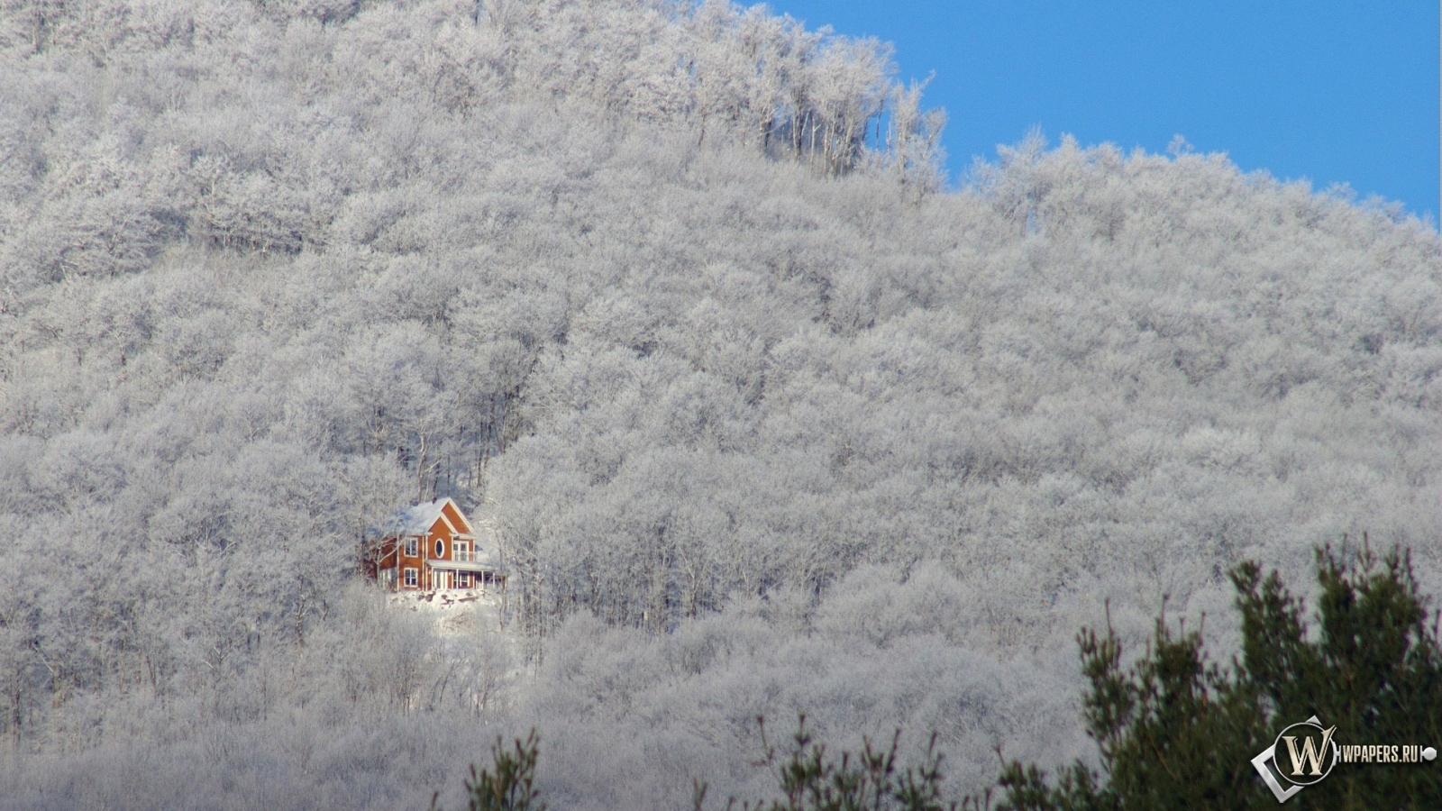 Зимний домик в лесу 1600x900