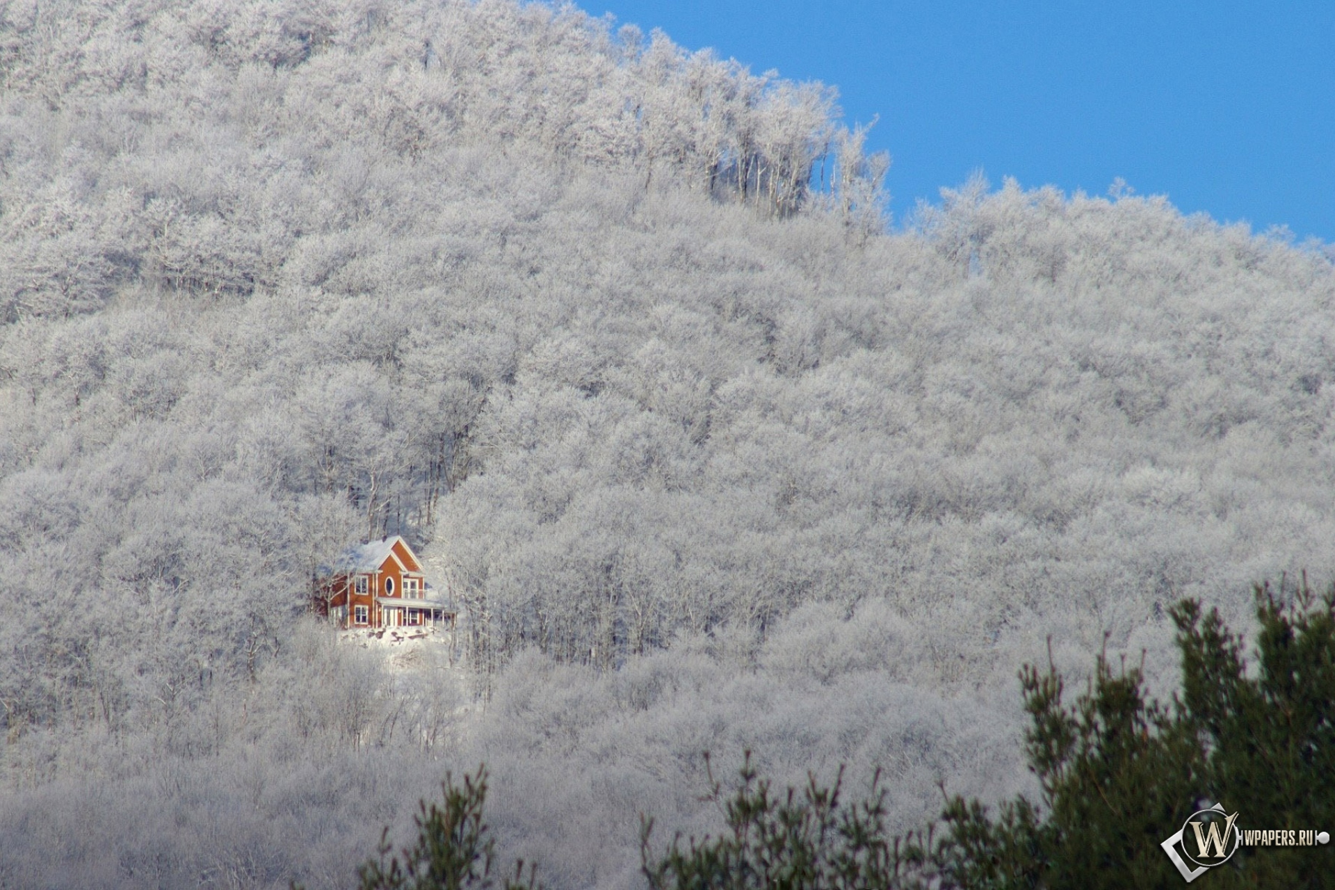 Зимний домик в лесу 1920x1280