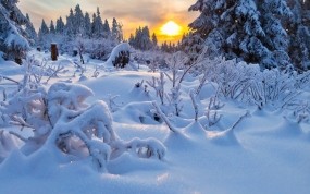 Обои Зимний пейзаж: Зима, Снег, Солнце, Закат, Природа