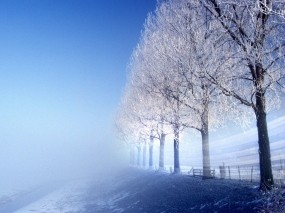Обои Зимняя сказка: Зима, Лёд, Дорога, Иней, Зима