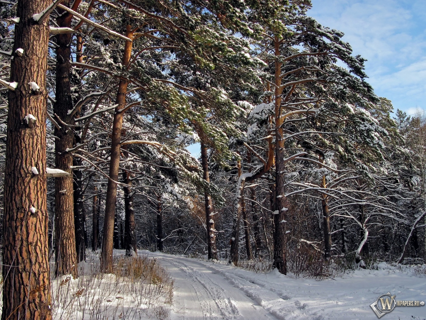 Зимний лес  1400x1050