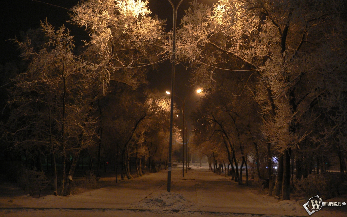 Зимняя аллея 1440x900