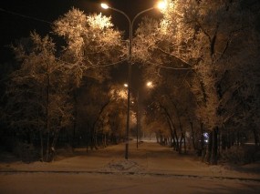 Обои Зимняя аллея: Зима, Снег, Деревья, Зима