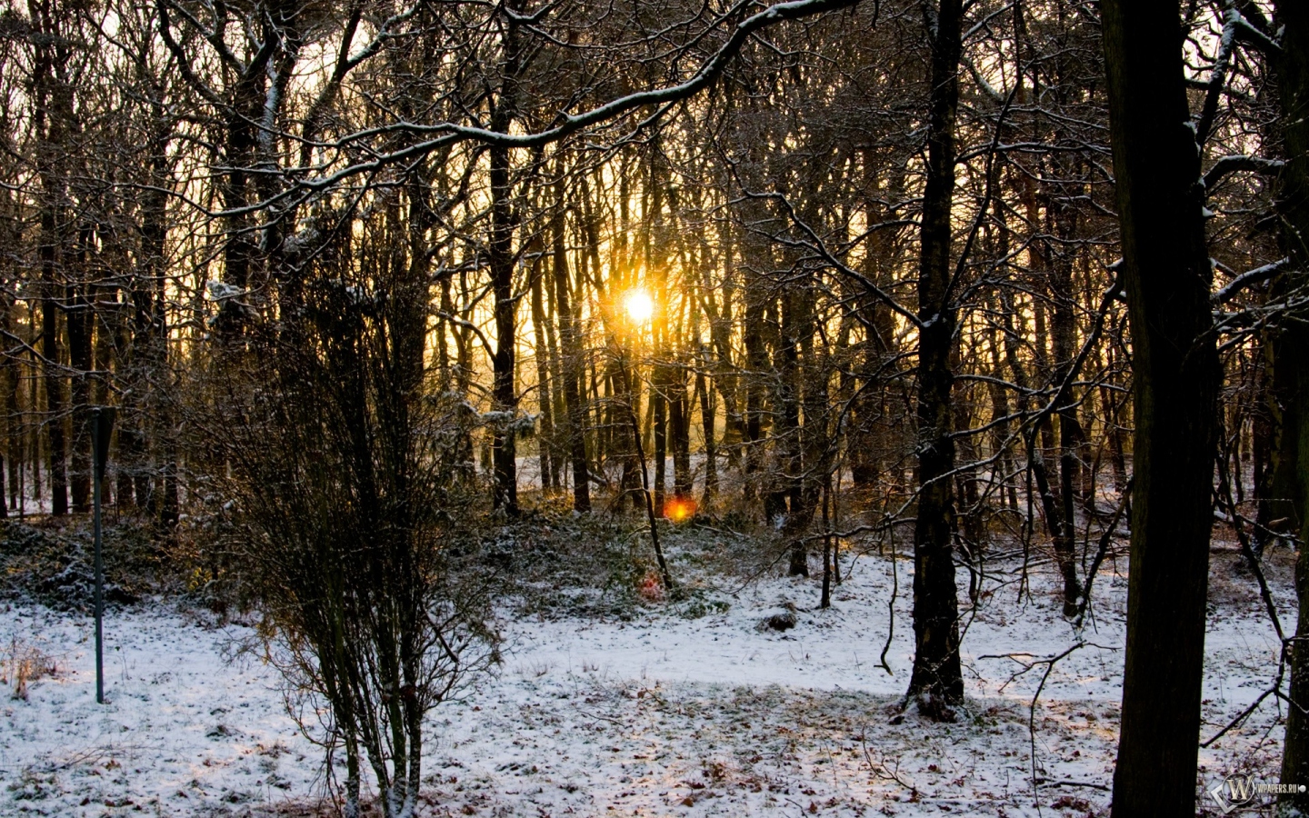 Осенне-Зимний лес 1440x900