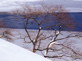 Обои Море на фоне снега: , Зима