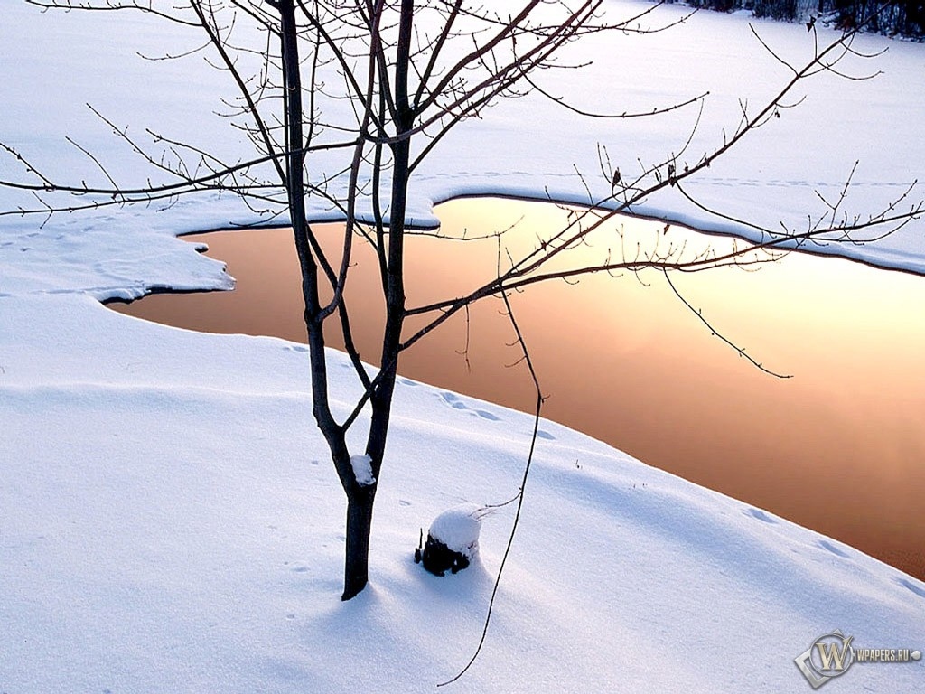 Озеро зимой 1024x768