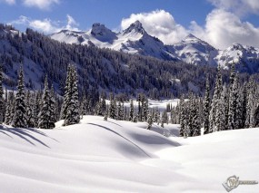 Обои Зимний пейзаж: Зима, Горы, Ели, Природа
